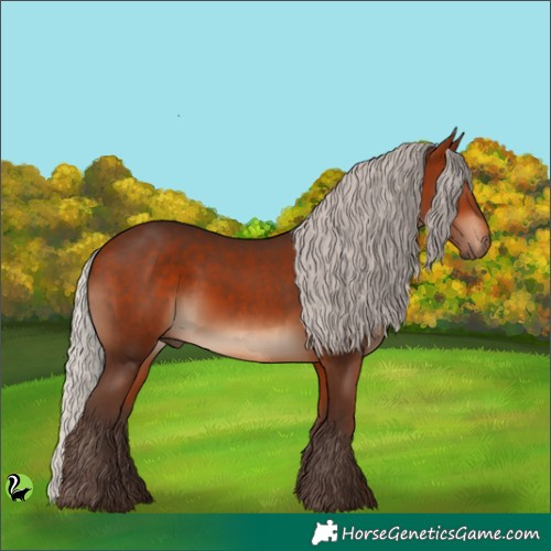 Horse Color:Silver Bay 
