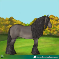Horse Color:Smoky Grullo