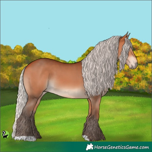 Horse Color:Silver Bay 