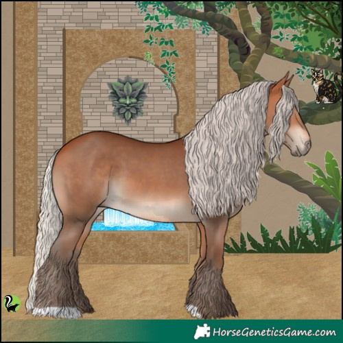 Horse Color:Silver Bay 