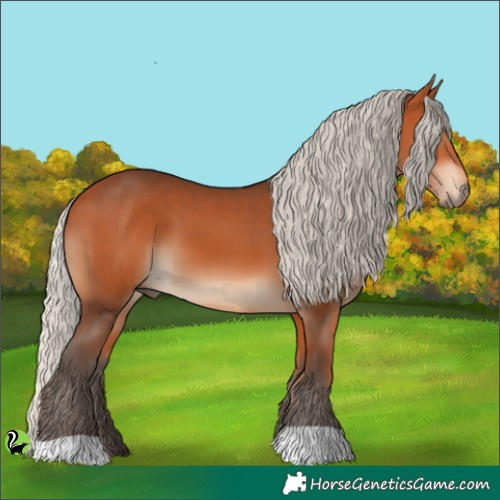 Horse Color:Silver Bay 