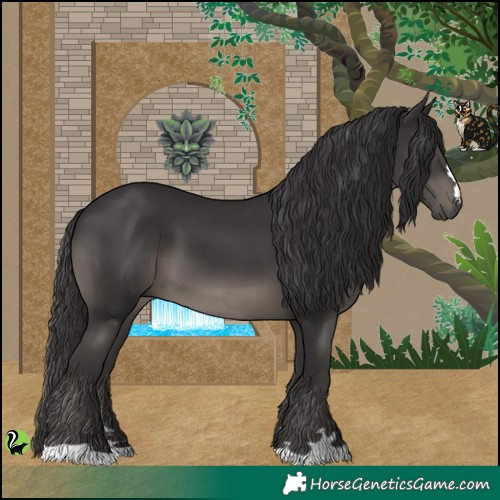 Horse Color:Smoky Black 