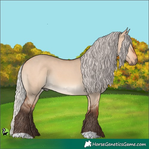 Horse Color:Silver Bay Dun 