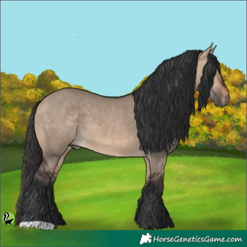 Horse Color:Brown Dun 