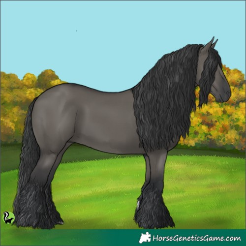 Horse Color:Grullo 