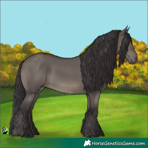 Horse Color:Smoky Grullo 