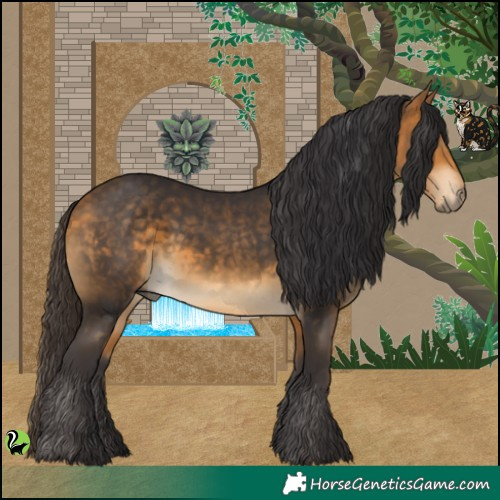 Horse Color:Buckskin 