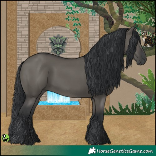 Horse Color:Grullo 