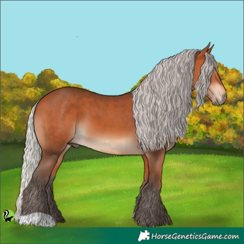 Horse Color:Silver Bay 