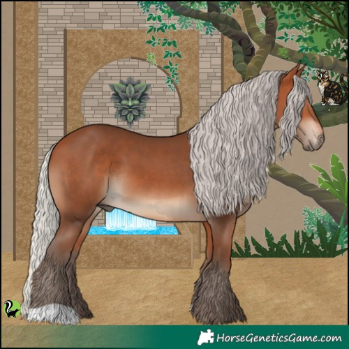 Horse Color:Silver Bay 