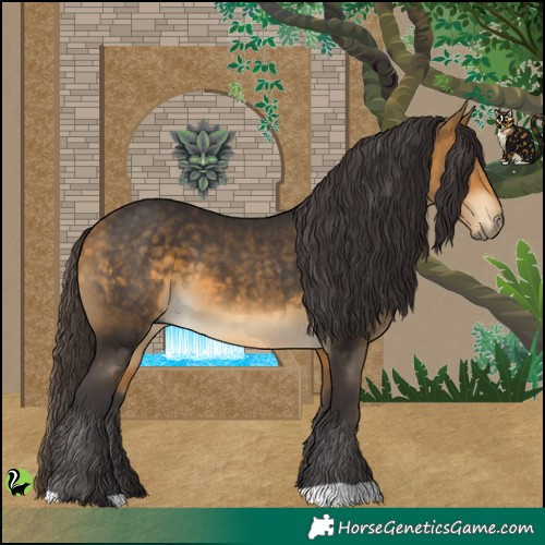 Horse Color:Buckskin 