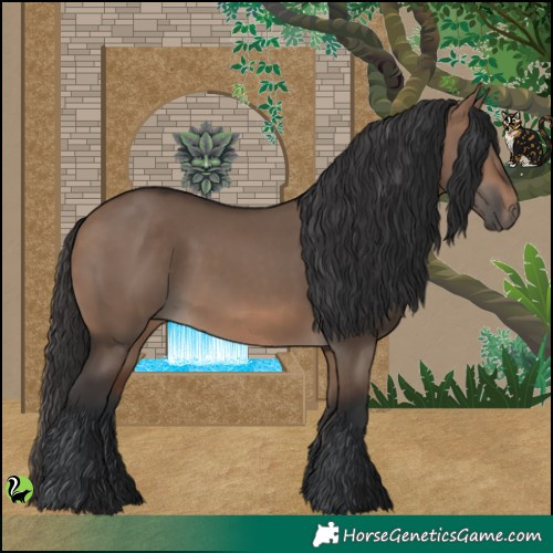 Horse Color:Brown Dun 