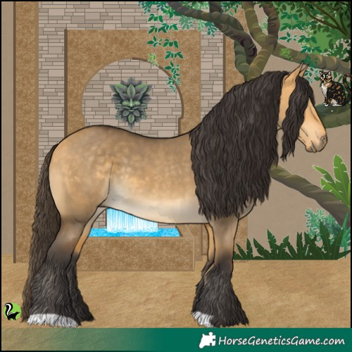 Horse Color:Buckskin Dun 