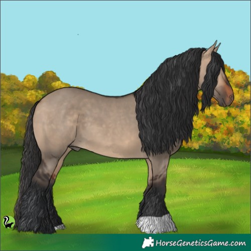 Horse Color:Brown Dun 
