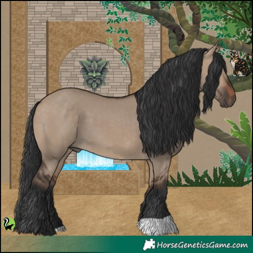 Horse Color:Brown Dun 
