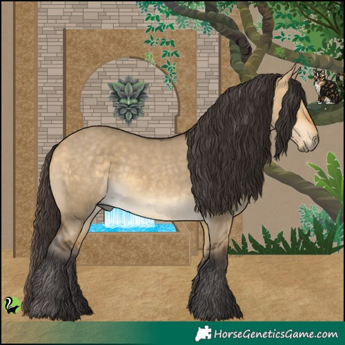 Horse Color:Buckskin Dun 