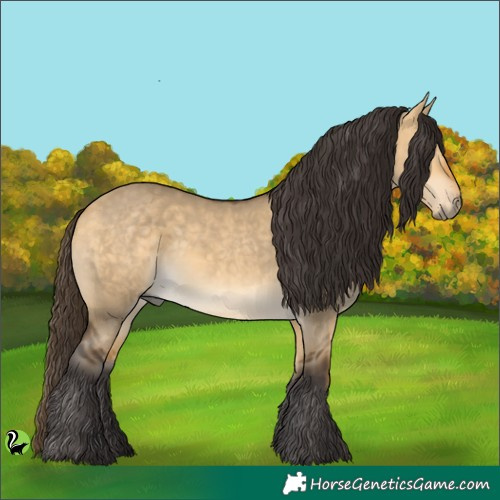 Horse Color:Buckskin Dun 