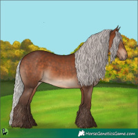 Horse Color:Silver Bay 
