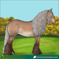 Horse Color:Silver Brown Dun