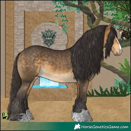 Horse Color:Buckskin 