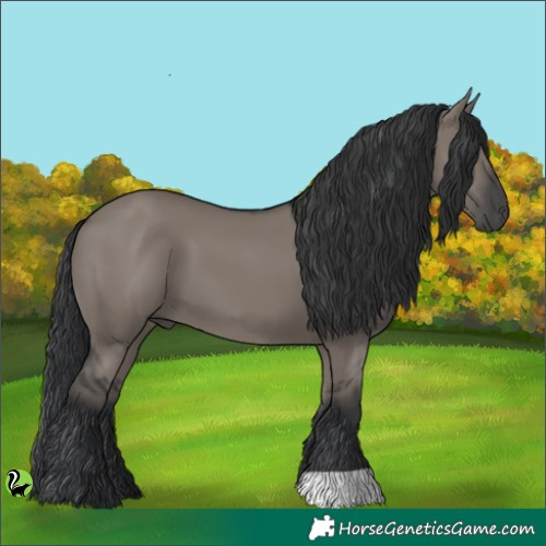 Horse Color:Grullo 