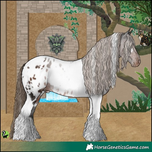 Horse Color:White Spotted Liver Chestnut Tobiano Appaloosa 