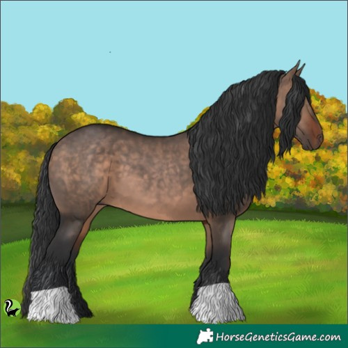 Horse Color:Brown Dun 