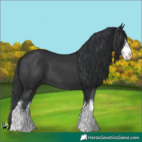 Horse Color:White Spotted Black 