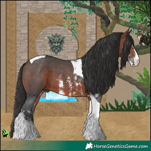 Horse Color:Bay Sabino Tobiano 