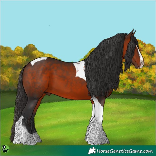 Horse Color:Bay Sabino Tobiano 