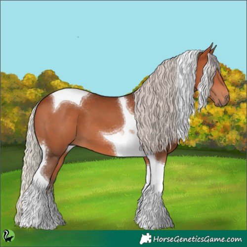 Horse Color:Silver Bay Tobiano 