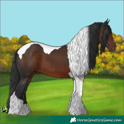 Horse Color:Liver Chestnut Tobiano 