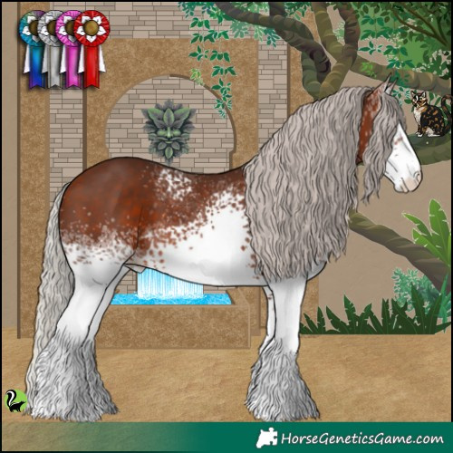 Horse Color:White Spotted Silver Bay 