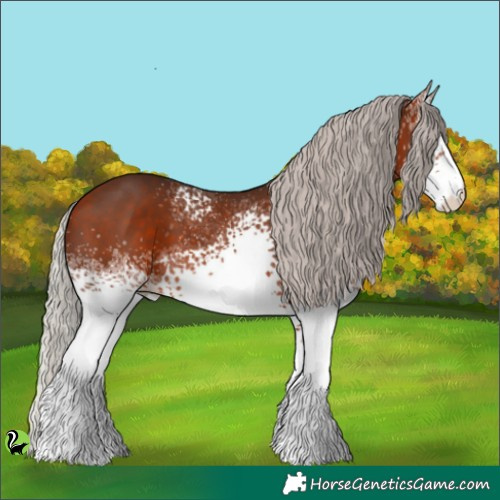 Horse Color:White Spotted Silver Bay 