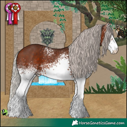 Horse Color:White Spotted Silver Bay 