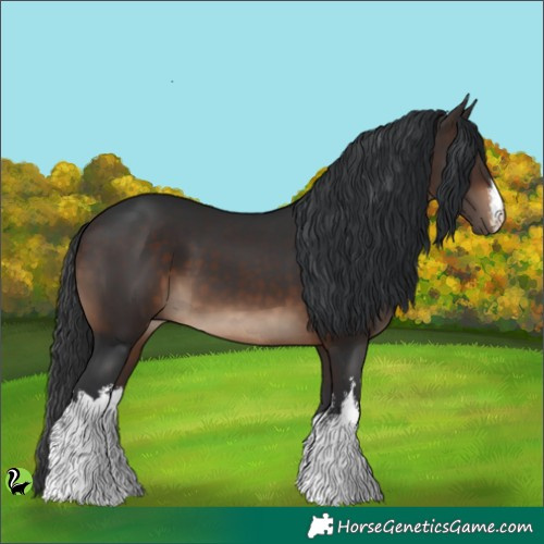 Horse Color:White Spotted Brown 