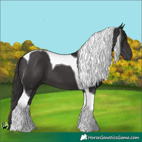 Horse Color:Smoky Black Tobiano 