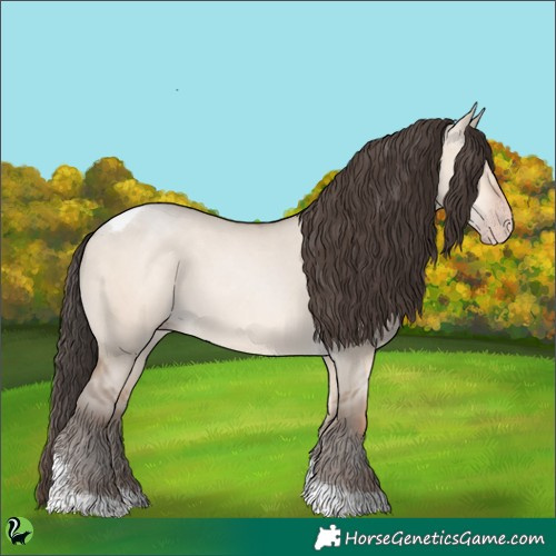 Horse Color:Amber Champagne Dun Tobiano 