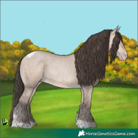 Horse Color:Amber Champagne Dun Tobiano 