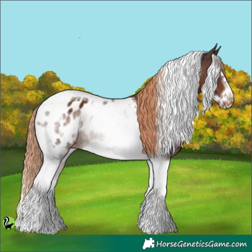Horse Color:Liver Chestnut Tobiano Frame Appaloosa 