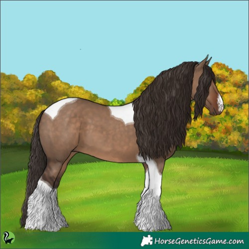 Horse Color:White Spotted Liver Red Dun Tobiano 