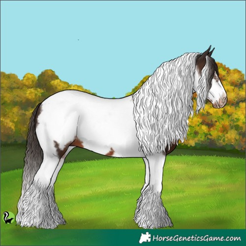 Horse Color:Liver Chestnut Tobiano Frame 