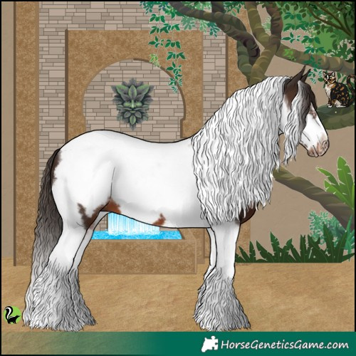 Horse Color:Liver Chestnut Tobiano Frame 