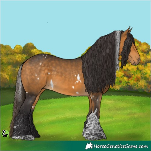 Horse Color:White Spotted Buckskin Tobiano 