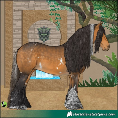 Horse Color:White Spotted Buckskin Tobiano 