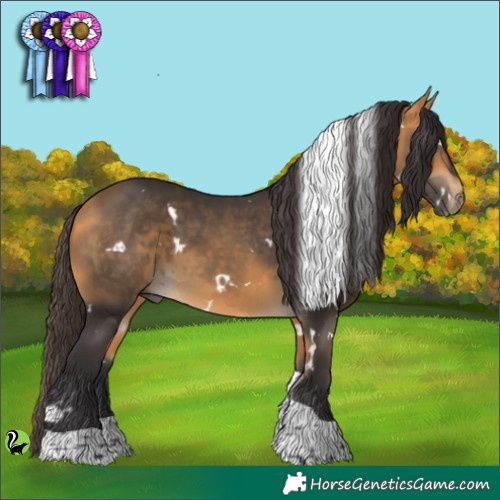 Horse Color:White Spotted Buckskin Tobiano 