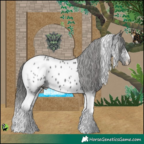 Horse Color:Black Sabino Tobiano Appaloosa 