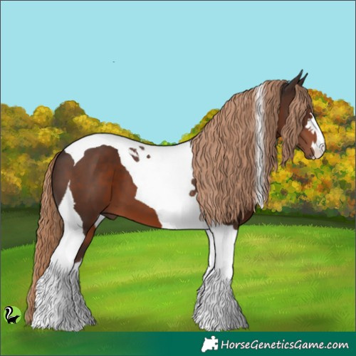 Horse Color:Liver Chestnut Tobiano 