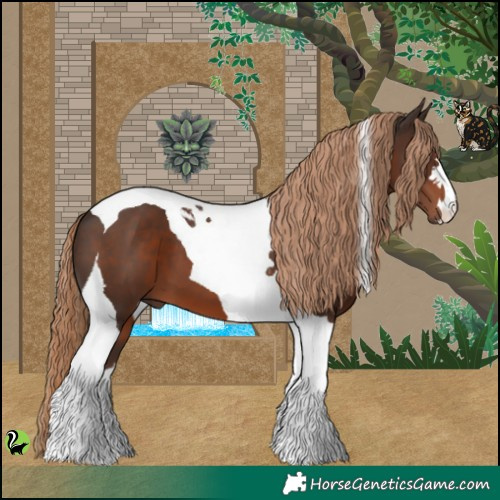 Horse Color:Liver Chestnut Tobiano 