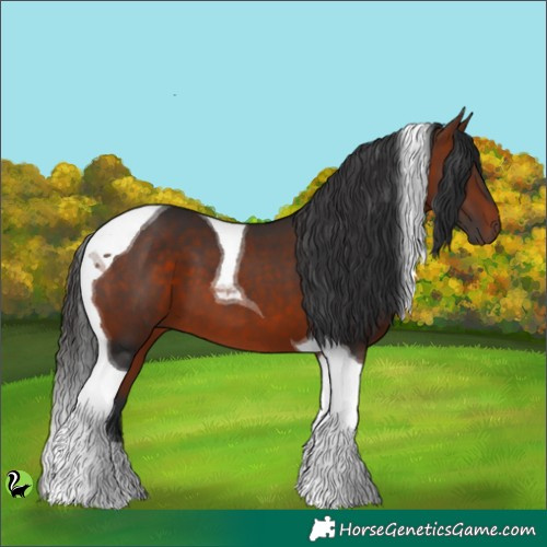 Horse Color:Brown Tobiano 